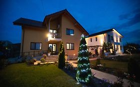 Pensiunea Diana Guest House