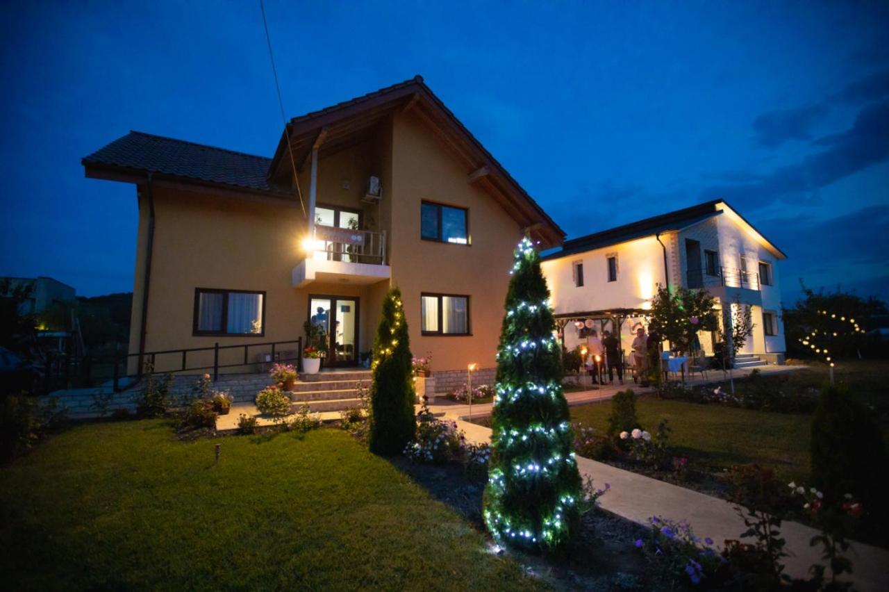 Pensiunea Diana Trestiana Exterior foto
